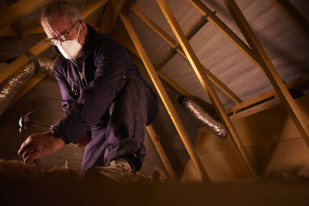 Best Residential Insulation in Rice Lake, MN